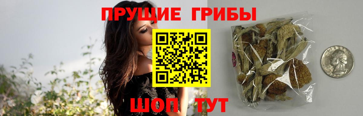 Галлюциногенные грибы Magic Shrooms Луховицы